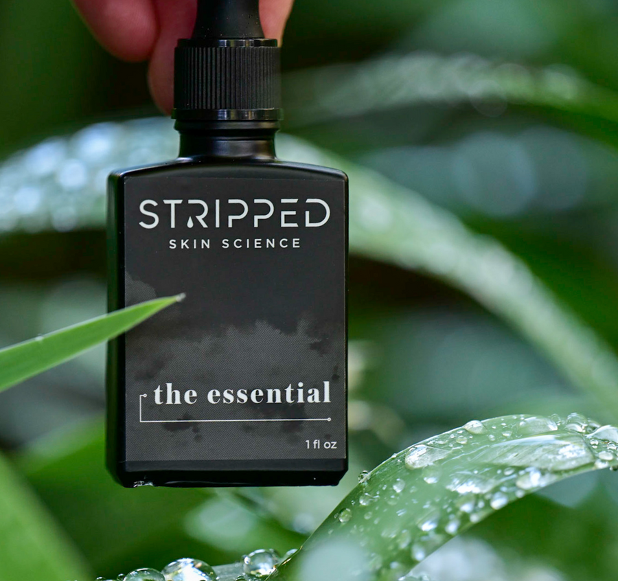 Gift The Essential (one time)